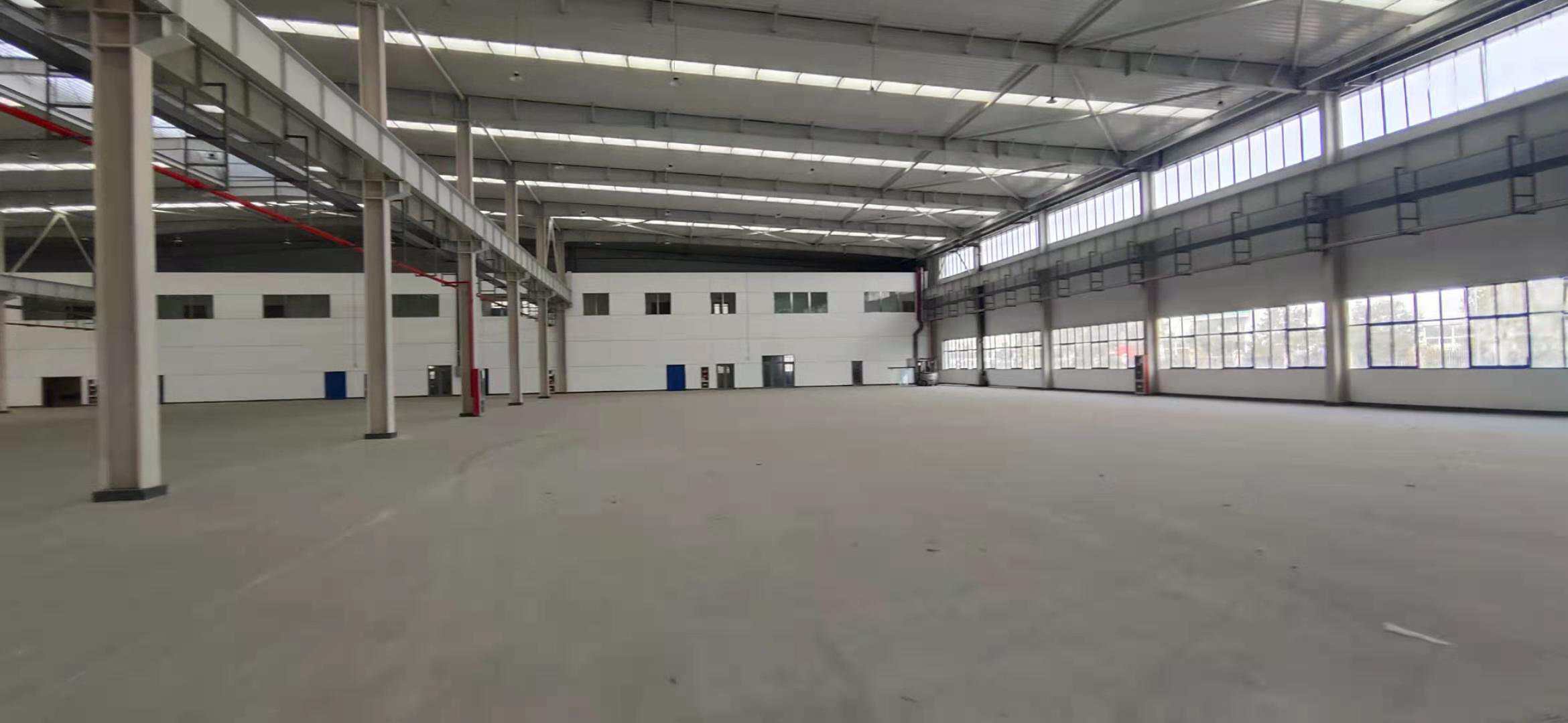 臨港新片廠房出租54000平方米單層適合各類生產類